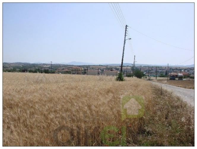 property-img
