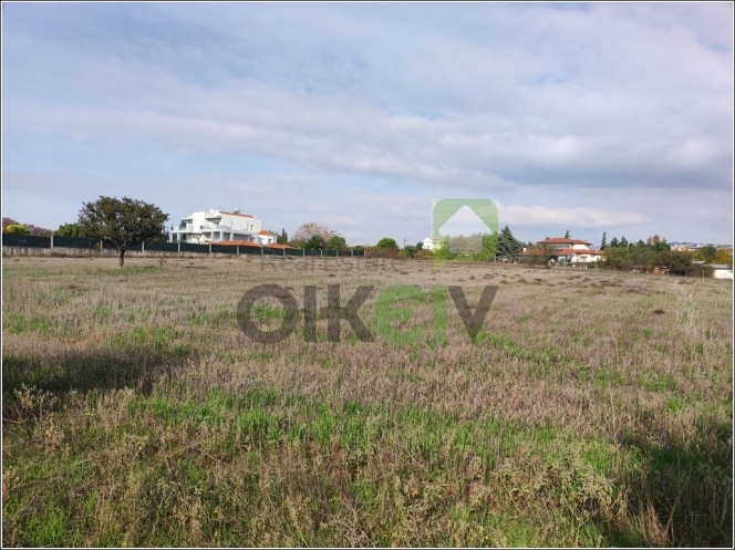 property-img